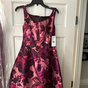 NWT Beautiful Special Occassion Dress